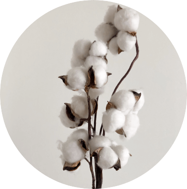 Bottom right hero image